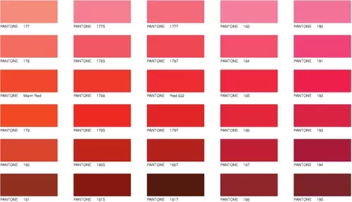 palette-de-rouges